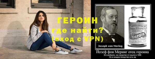 сатива Волоколамск