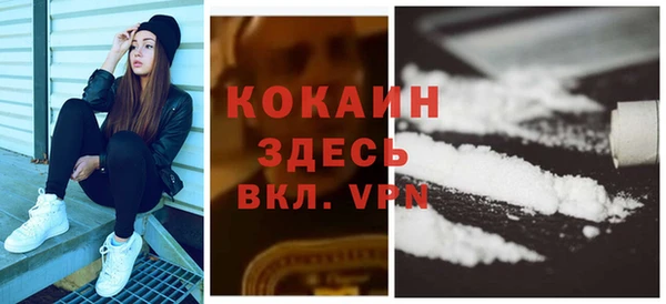 сатива Волоколамск