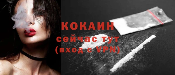 сатива Волоколамск