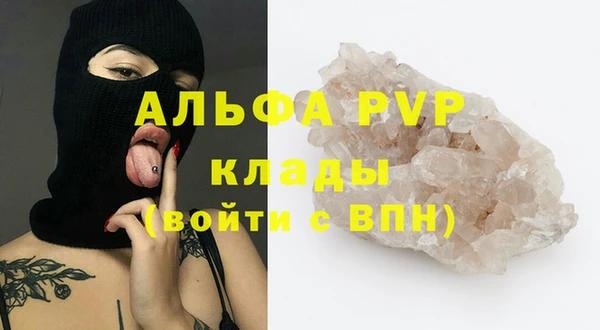 сатива Волоколамск