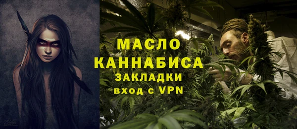 сатива Волоколамск