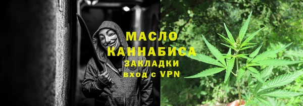сатива Волоколамск