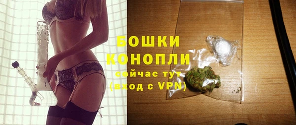 сатива Волоколамск