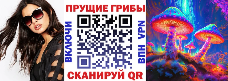 Купить  Аксай  Галлюциногенные грибы Psilocybe 